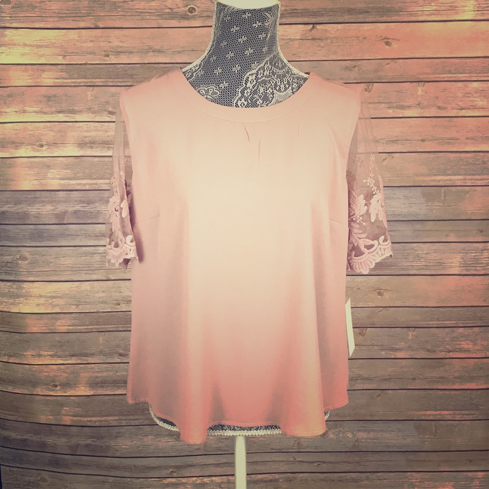 Blush crew neck top with sheer sleeves